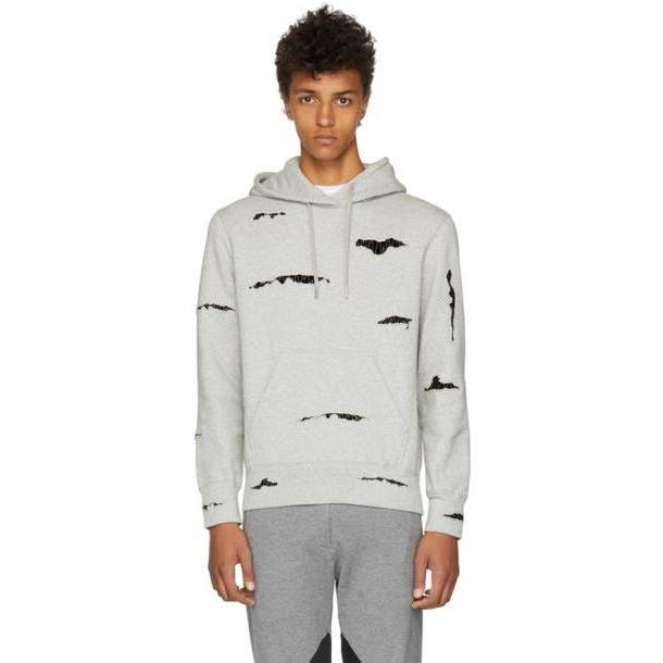 Alexander McQueen Grey Organic Brushed Back Hoodie cover image