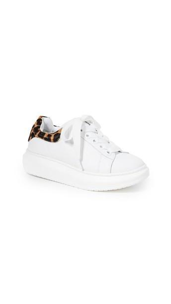 Steven Glazed Lace Up Sneakers in leopard cover image