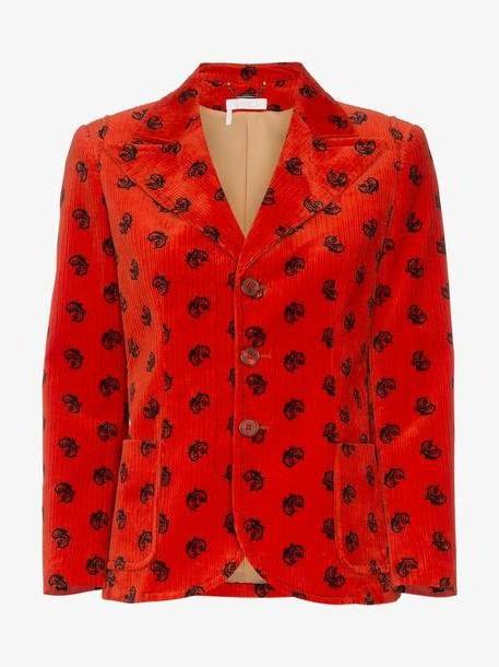Chloé Chloé velvet horse embellished jacket in yellow cover image