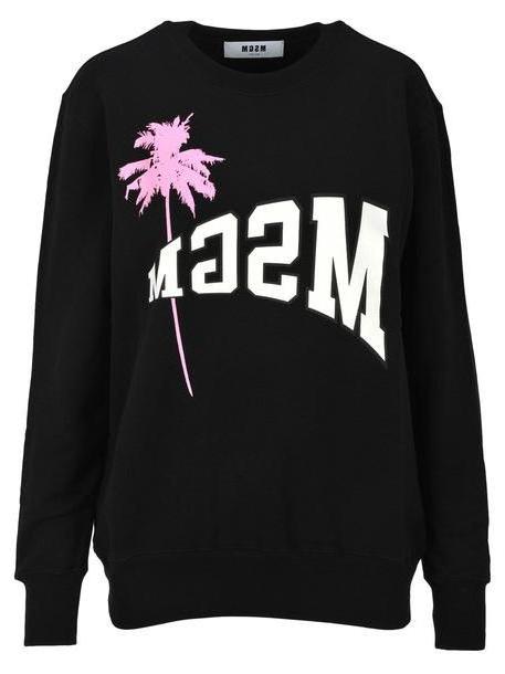Msgm Msgm Logo And Palm Printed Sweatshirt in black cover image