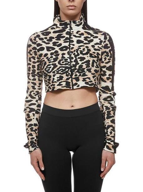 Paco Rabanne Leopard Cropped Top cover image